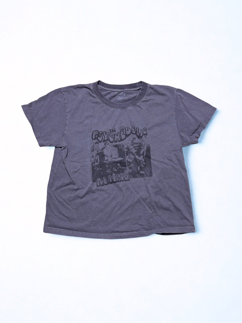 Brandy Melville Grey Short Sleeve Band Tee